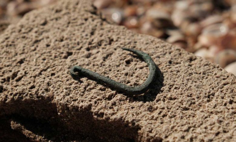 Anzol de 6.000 Anos: Incrível Descoberta Arqueológica