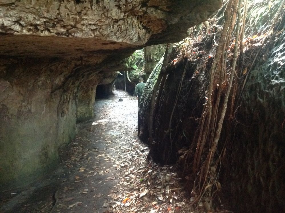 Pinturas rupestres da era do gelo na Amazônia, Descoberta da Capela Sistina dos Antigos, Arqueologia na Serranía de la Lindosa, Megafauna na pré-história, Cultura dos habitantes antigos da Amazônia, Criatividade na arte rupestre, Mudanças climáticas na Era do Gelo, Arqueólogos britânicos e colombianos, Serranía de la Lindosa, Colômbia, Pinturas rupestres de mastodontes, Ella Al-Shamahi e sua pesquisa na Amazônia, Resiliência dos povos pré-históricos, Tesouros arqueológicos da Amazônia, História da Colômbia antiga, Arte antiga na América do Sul, Expedições arqueológicas na floresta tropical, Patrimônio cultural da humanidade, Arqueologia e ecologia na Amazônia, Vida cotidiana na pré-história, Arte rupestre como testemunho histórico.