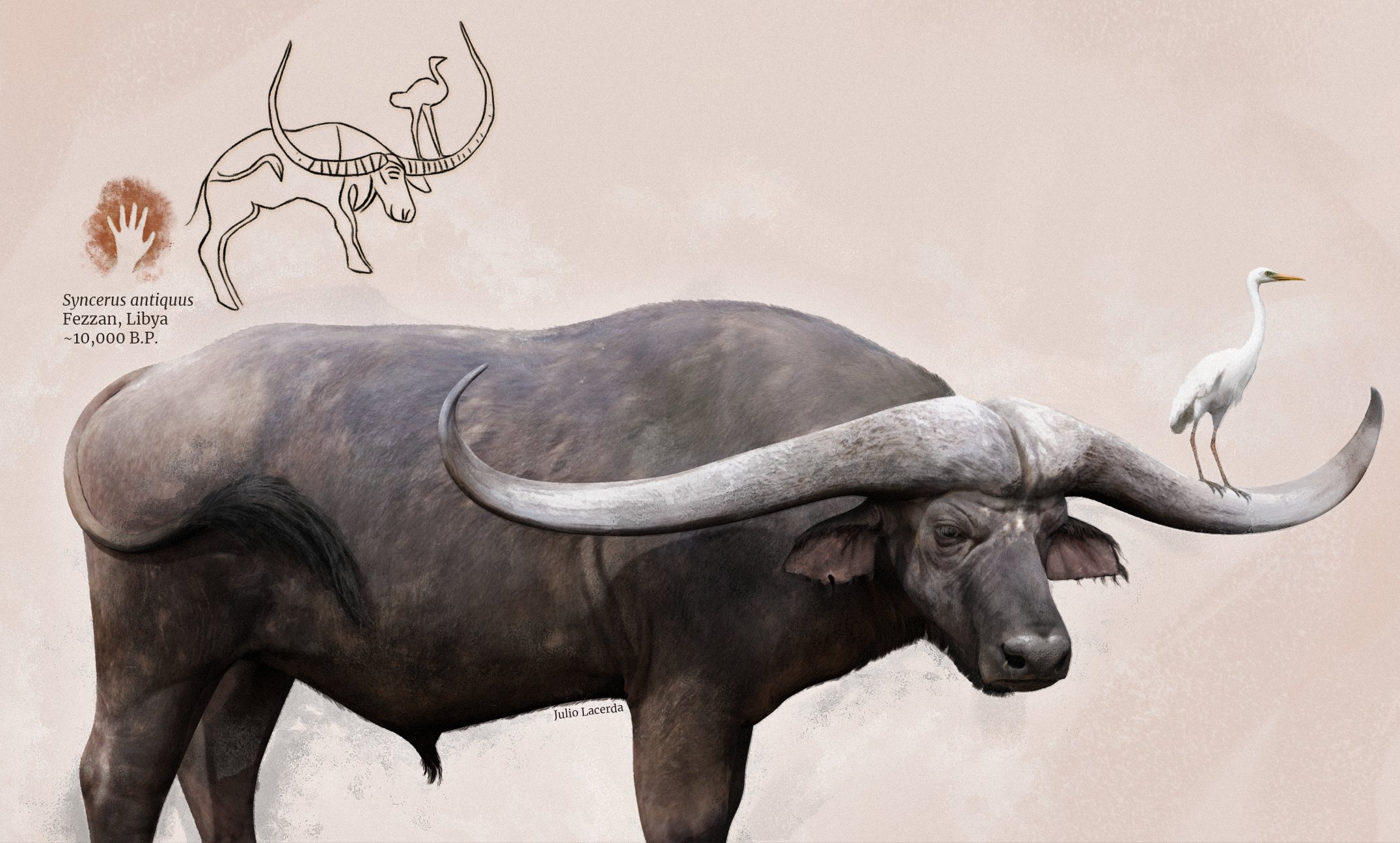 O Petroglifo de 8.000 Anos na Líbia - Hoje na arqueologia