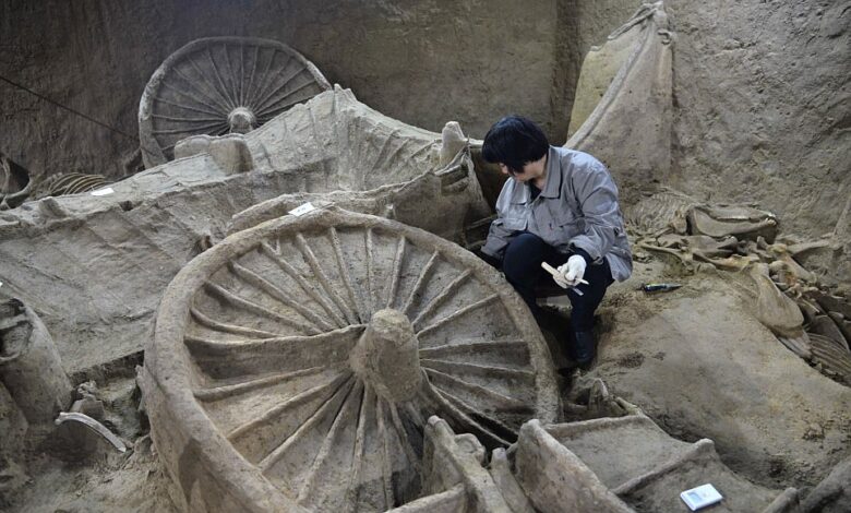 Túmulo chinês de 2.400 anos, Descoberta arqueológica na China, Cavalos e carros antigos, Cultura funerária chinesa, Civilização da Dinastia Zhou, Artefatos de bronze antigos, História da província de Henan, Período dos Estados Combatentes, Arqueologia na China, Tecnologia antiga chinesa, Mistério do túmulo de Xinzheng, Antiguidades chinesas, Significado histórico da descoberta, Sociedade na China antiga, Transição da Dinastia Zhou, Práticas funerárias na antiguidade, Riqueza arqueológica da China, Descoberta de cavalos e carros, Relíquias da história chinesa, Segredos do túmulo de 2.400 anos.