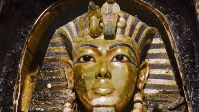 Câmara funerária de Tutancâmon, Fotos remasterizadas em cores de Tutancâmon, Descoberta da tumba de Tutancâmon, Arqueologia egípcia em cores, Howard Carter e a tumba de Tutancâmon, Escavações no Vale dos Reis, Relíquias de Tutancâmon em cores, Exploração da tumba de Tutancâmon, Descobertas arqueológicas em cores, Artefatos de Tutancâmon restaurados, Detalhes da tumba de Tutancâmon, História de Tutancâmon em imagens, Tecnologia de remasterização em arqueologia, Preservação digital de relíquias egípcias, Tutancâmon e seus tesouros em cores, Expedição de Howard Carter em fotos, Revelações arqueológicas em cores, Antiguidades egípcias restauradas, Tutancâmon reimaginado em fotografias, Explorando a câmara funerária de Tutancâmon em detalhes